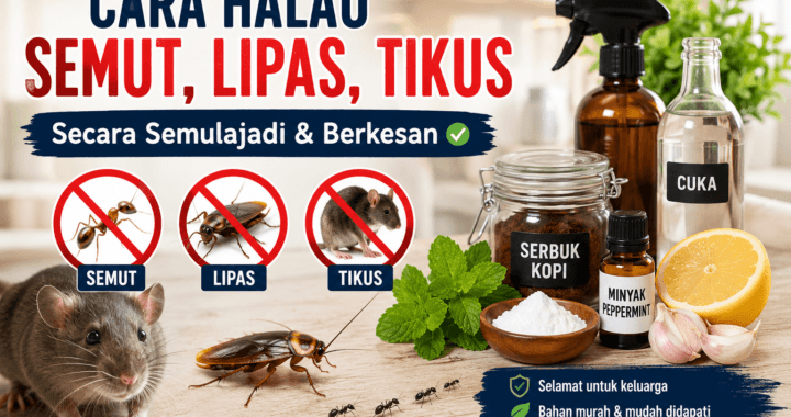 Cara Halau Semut, Lipas & Tikus Di Dapur - Petua Alami Dijamin Berkesan!